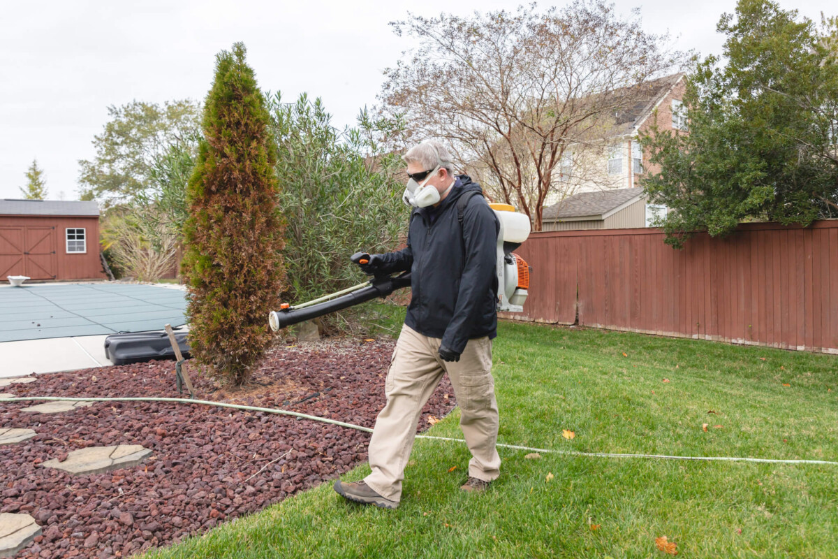 IMG_6771 Sovereign Pest Control